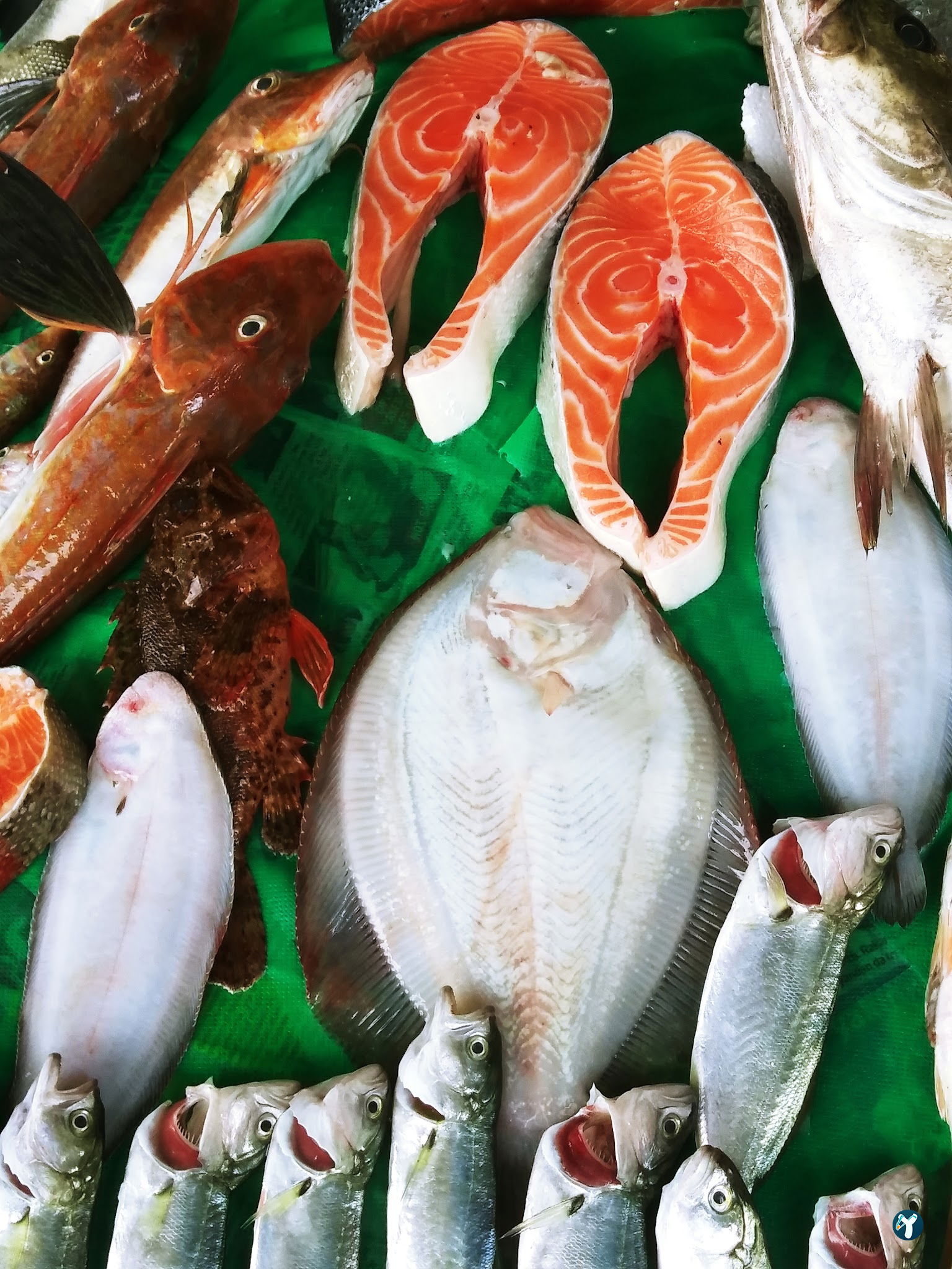 Feluka Seafood Restaurant