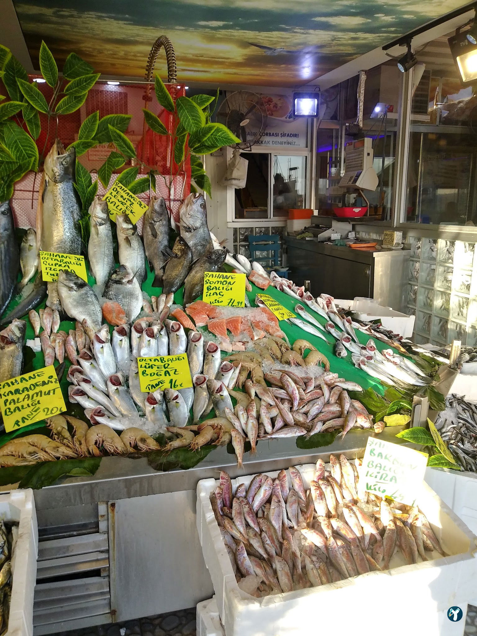 Feluka Seafood Restaurant