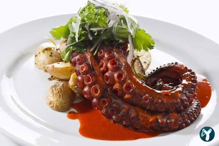 Feluka Seafood Restaurant