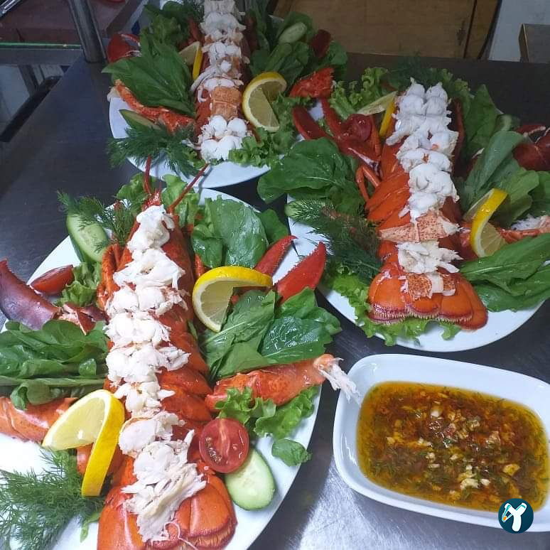 Feluka Seafood Restaurant