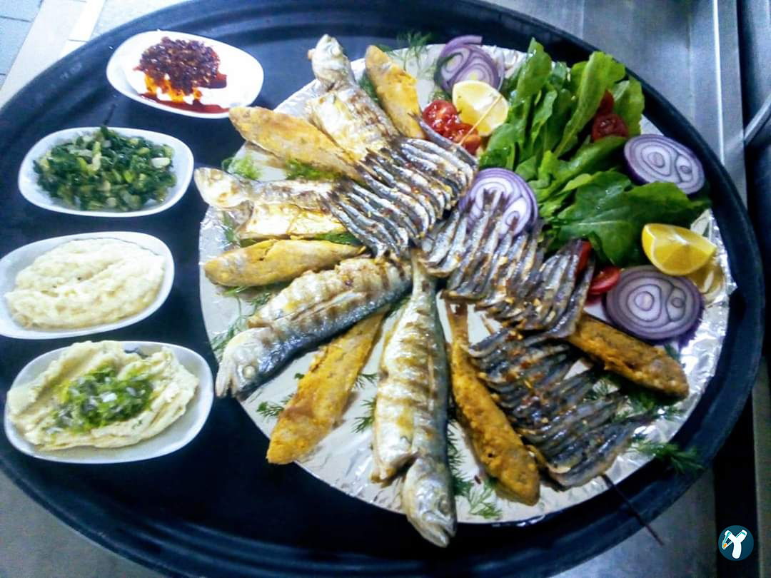 Feluka Seafood Restaurant