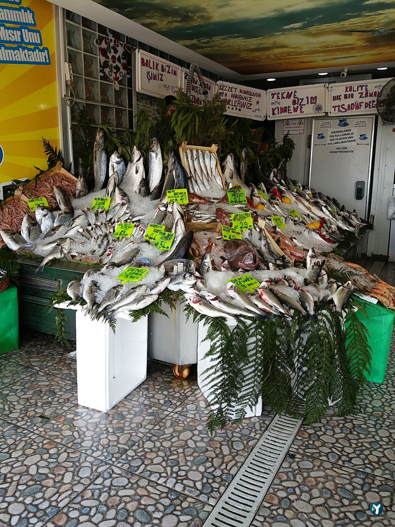 Feluka Seafood Restaurant