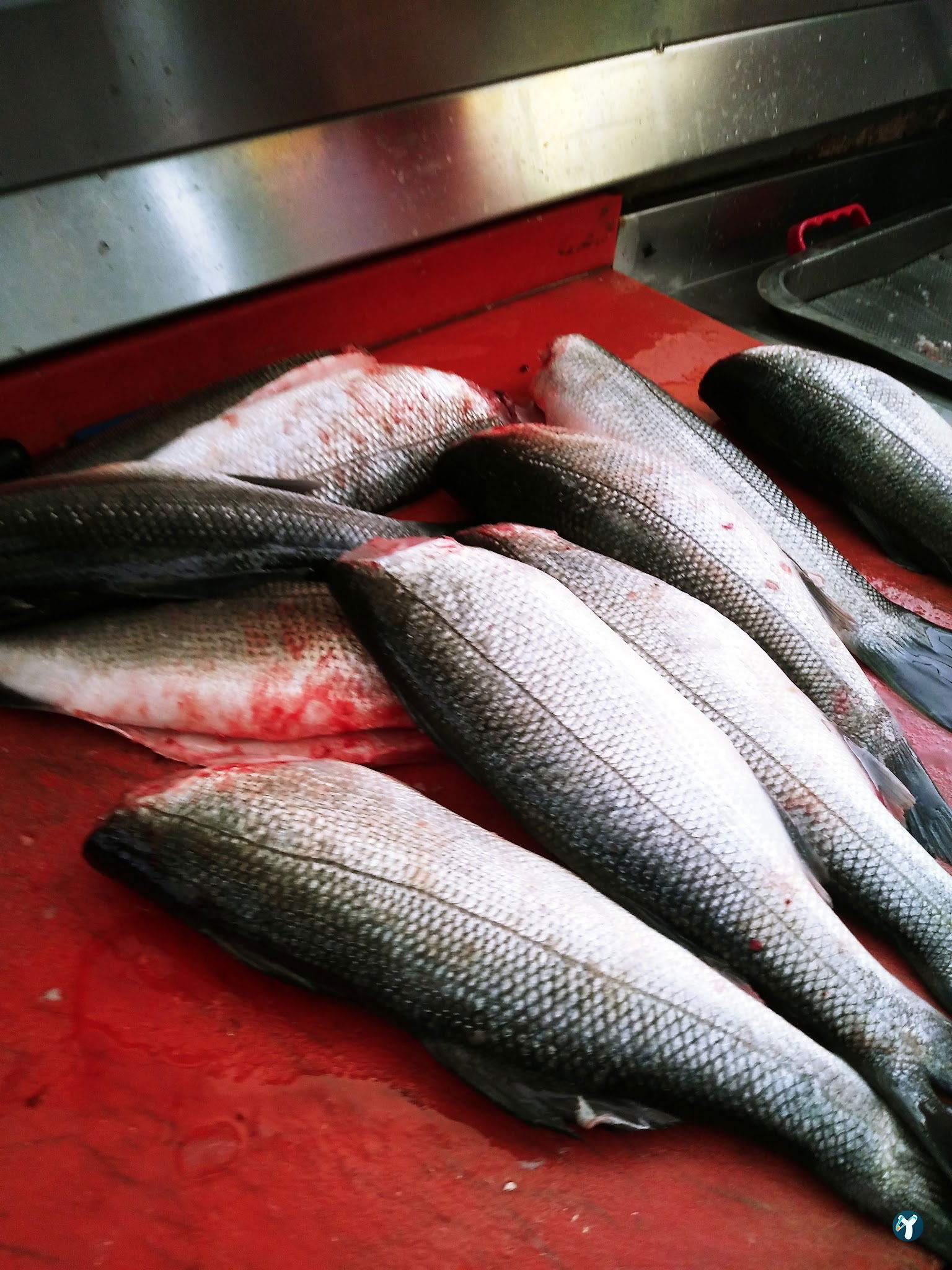 Feluka Seafood Restaurant