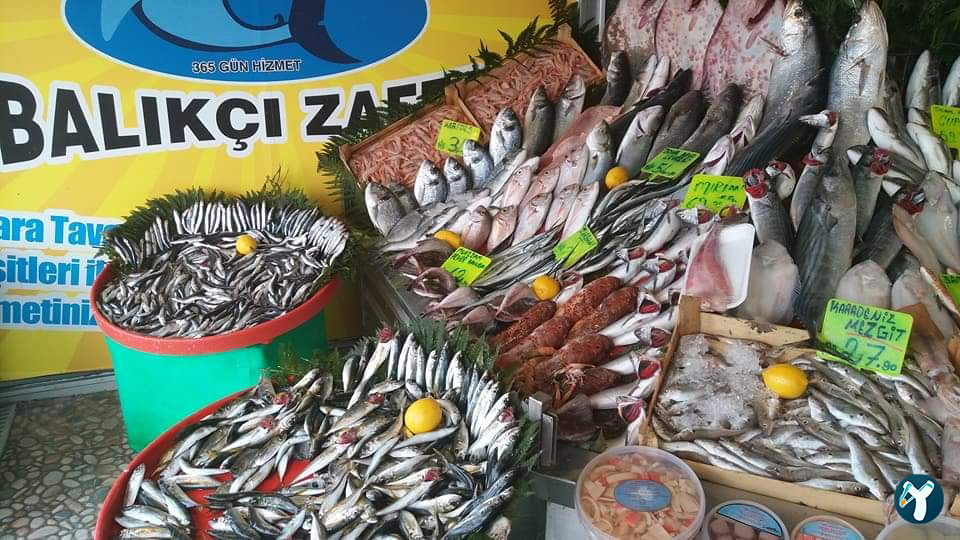 Feluka Seafood Restaurant