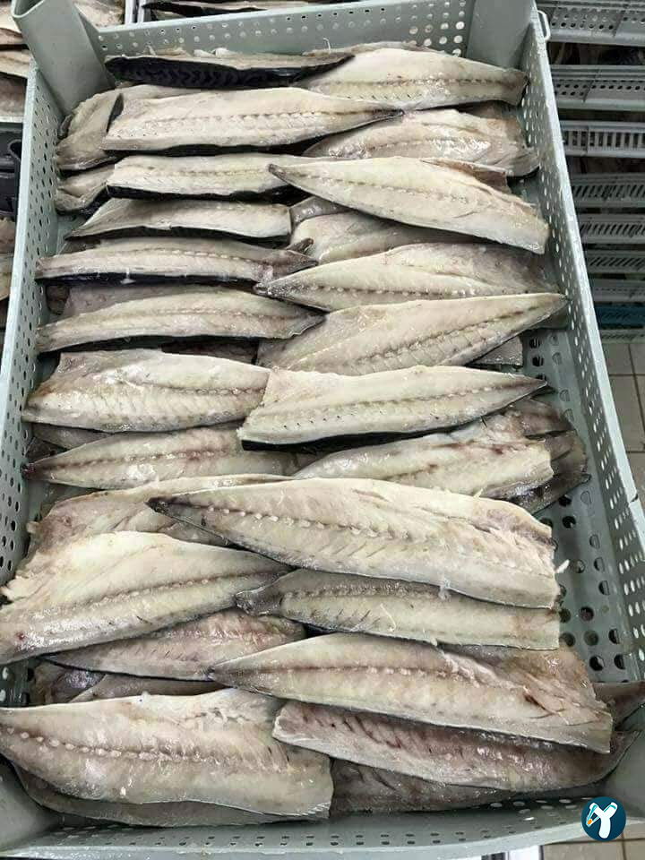 Feluka Seafood Restaurant