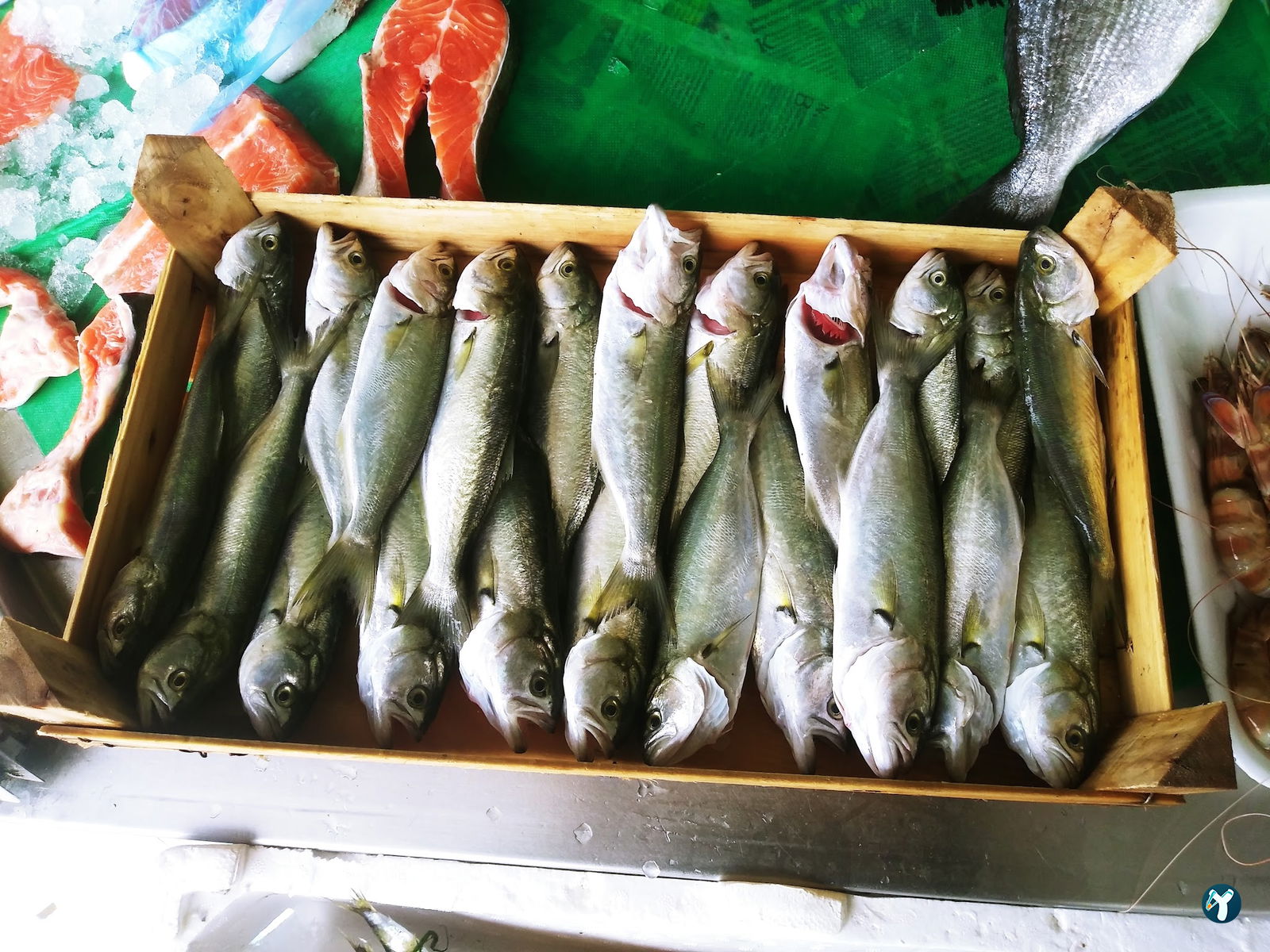 Feluka Seafood Restaurant