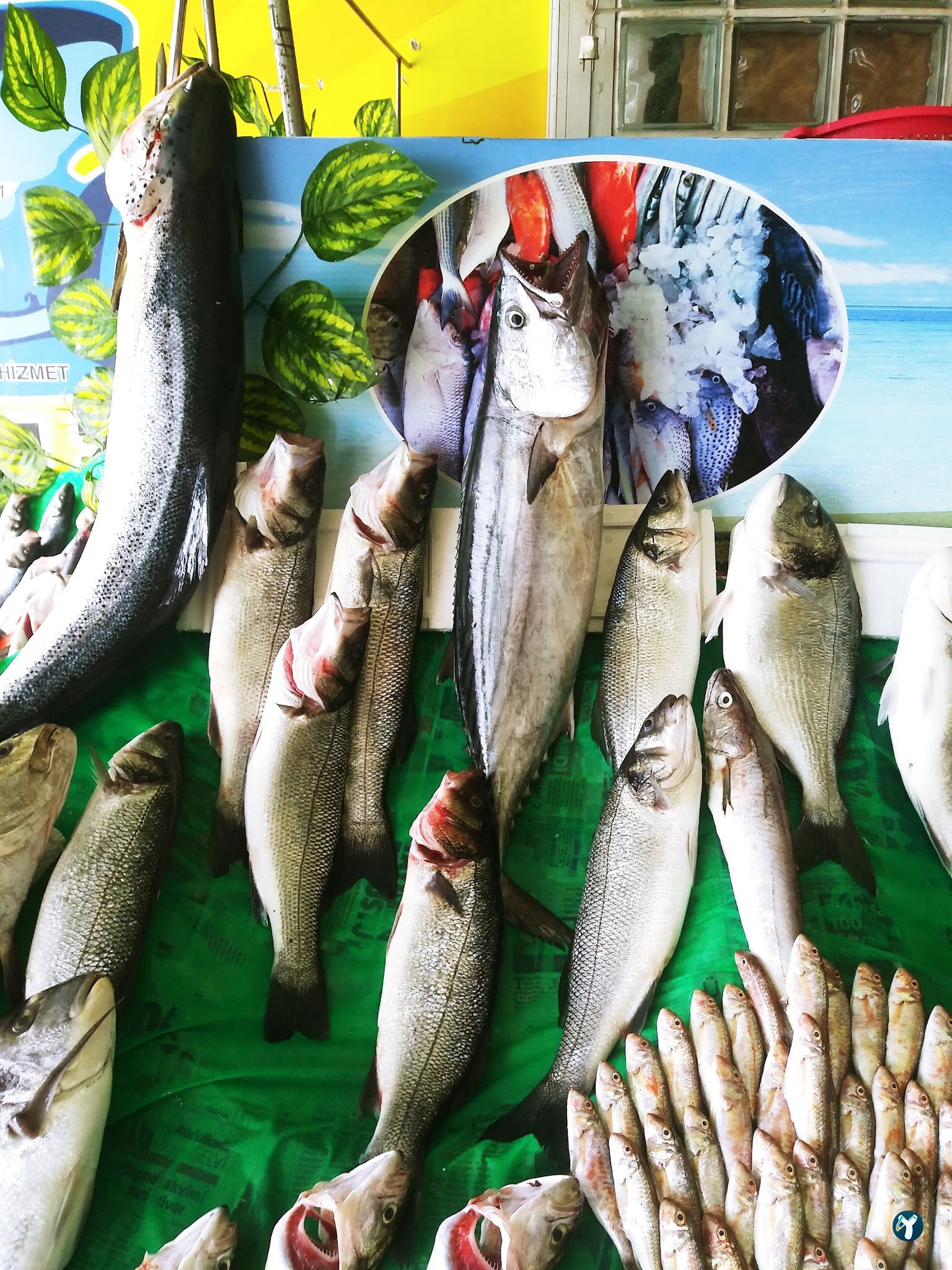 Feluka Seafood Restaurant