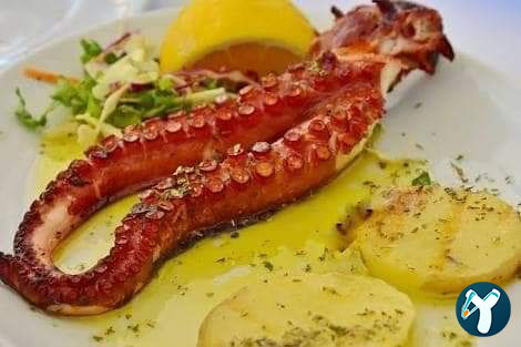 Feluka Seafood Restaurant