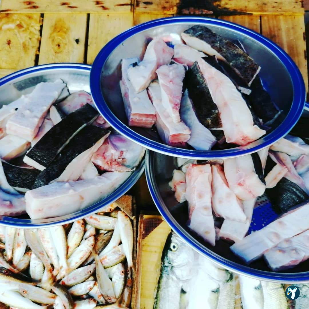 Feluka Seafood Restaurant