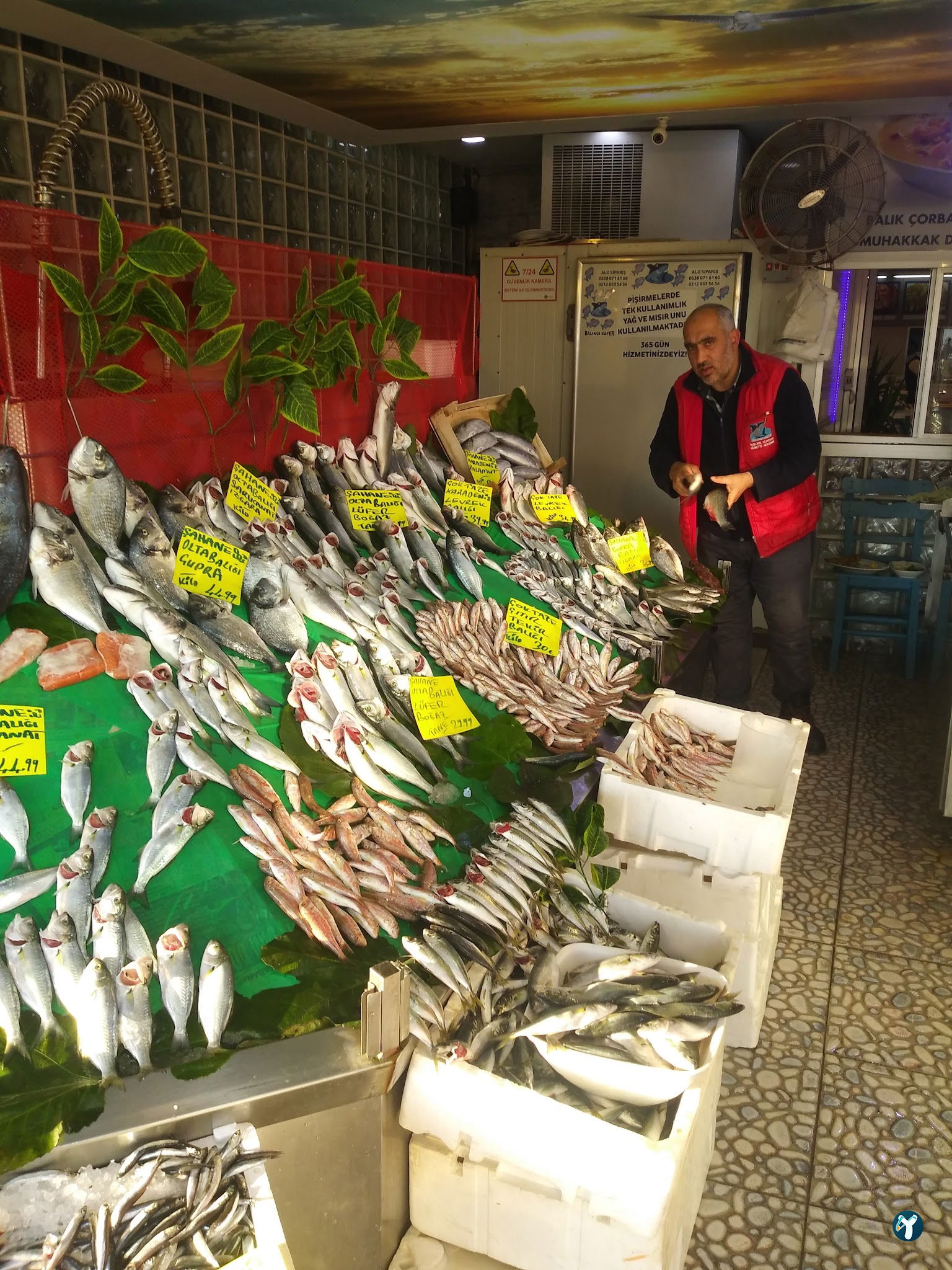 Feluka Seafood Restaurant