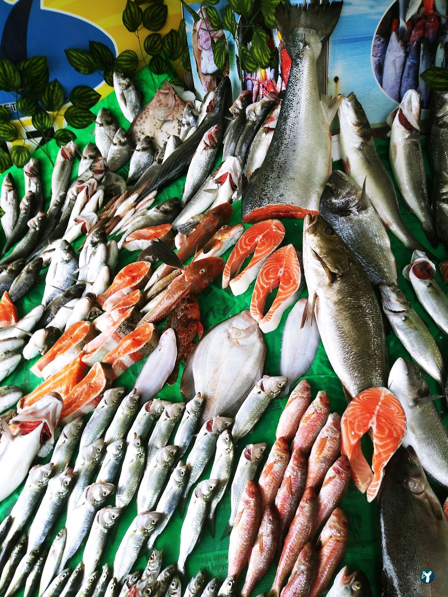 Feluka Seafood Restaurant