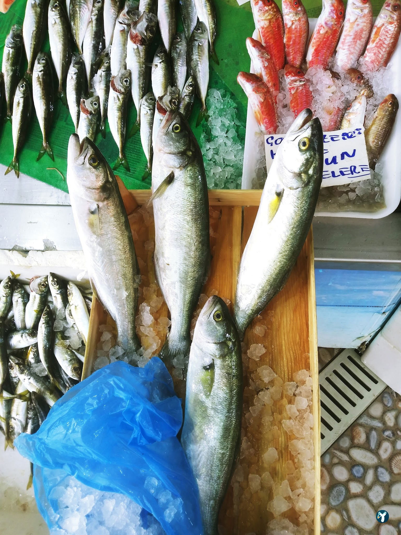Feluka Seafood Restaurant