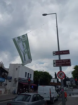 Bodrum Çılgın Kumrucu resimleri