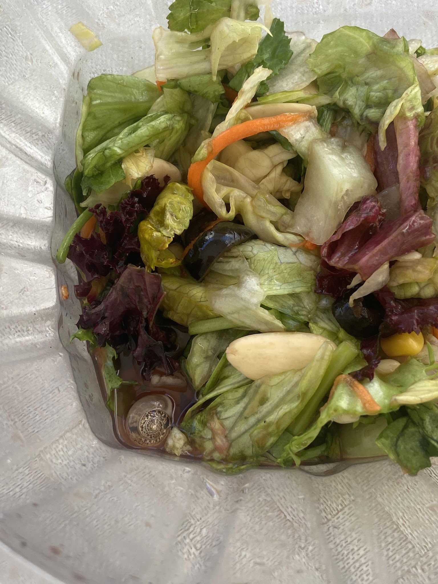 Bezmialem Fırın & Pastane