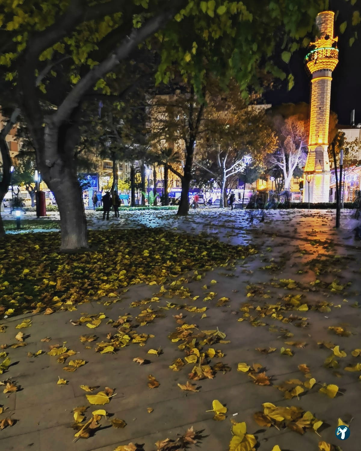 Kafe Sera