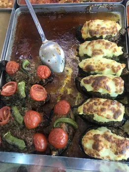 Yıldız Döner resimleri