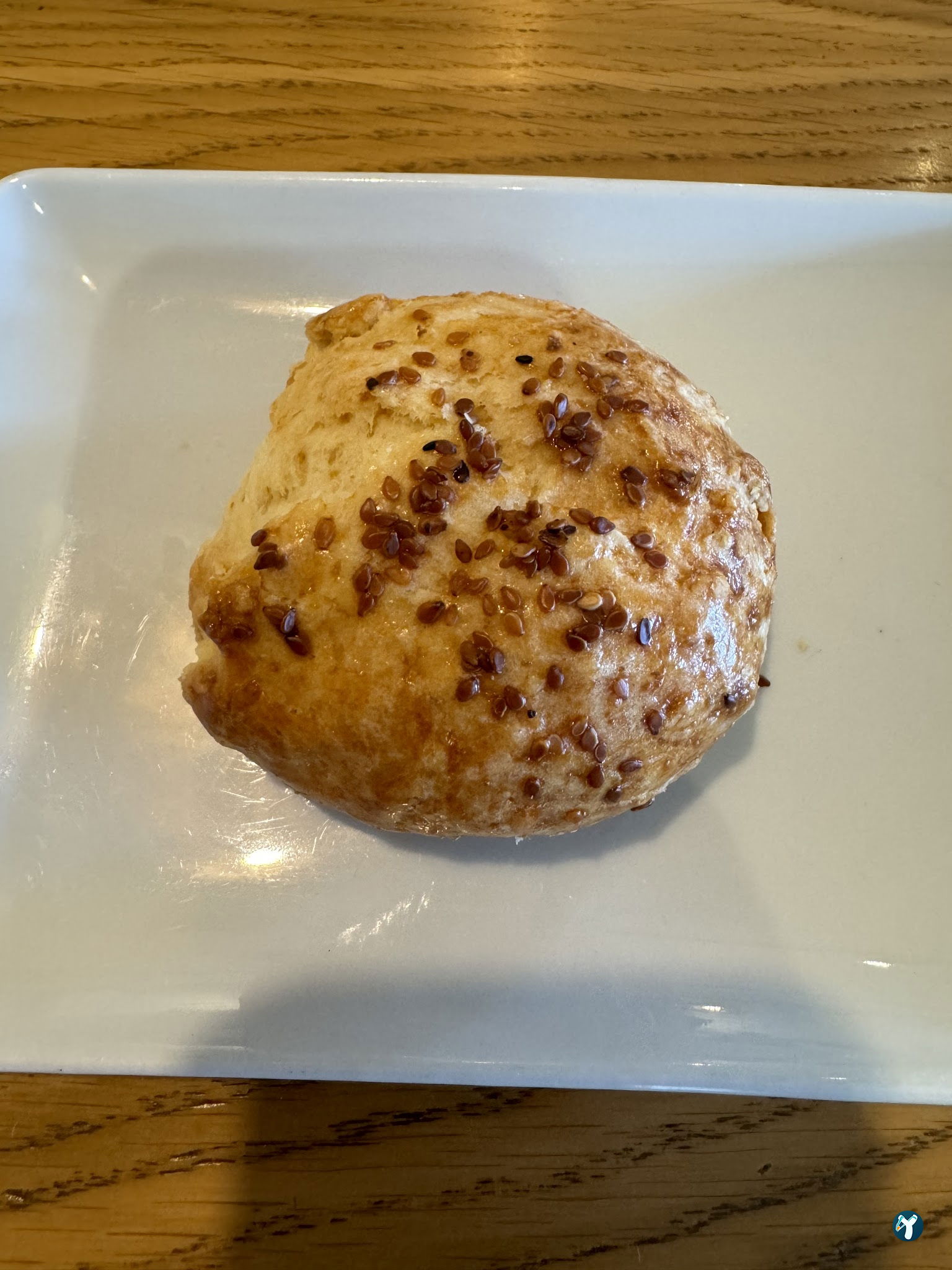 Pastakodu Yelki