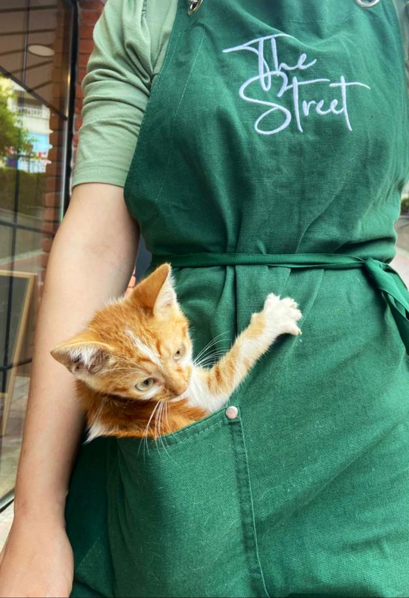 The Street Cafe & Pub (Sisters)