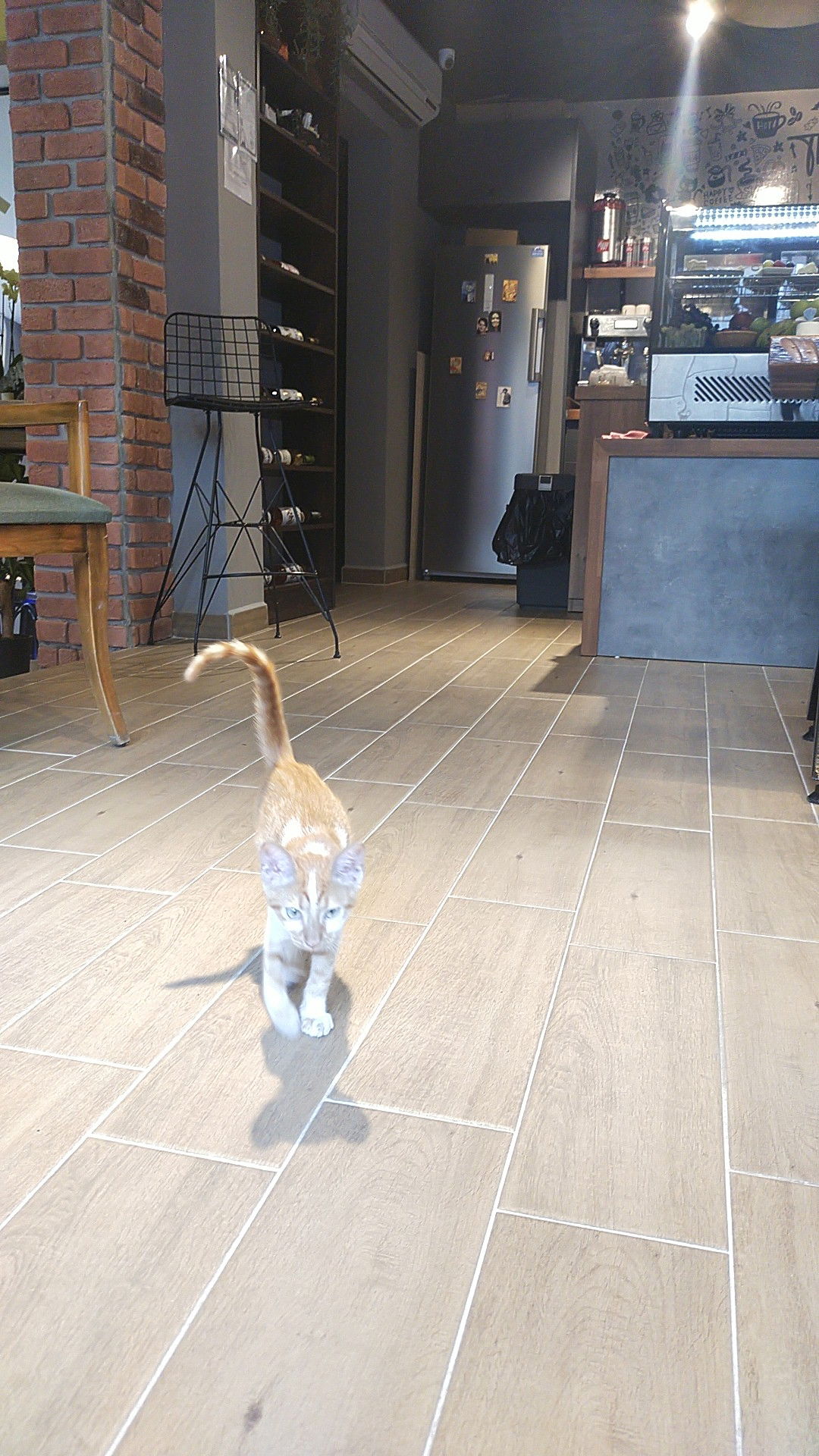 The Street Cafe & Pub (Sisters)