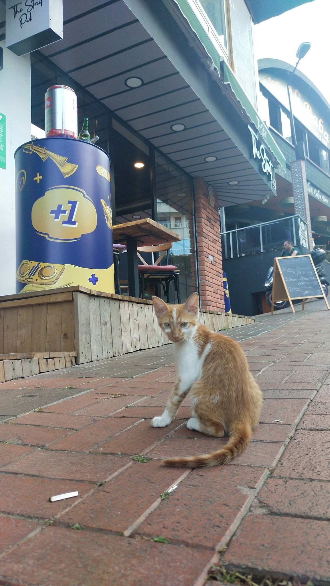 The Street Cafe & Pub (Sisters)