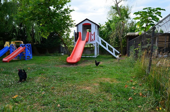 Terra Park Piknik & Restoran