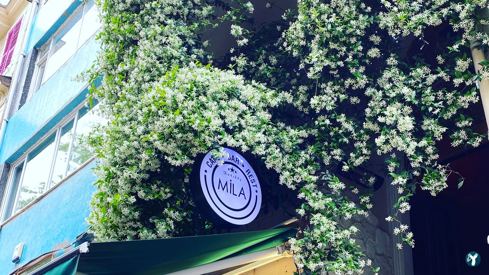 Mila Cafe Bar