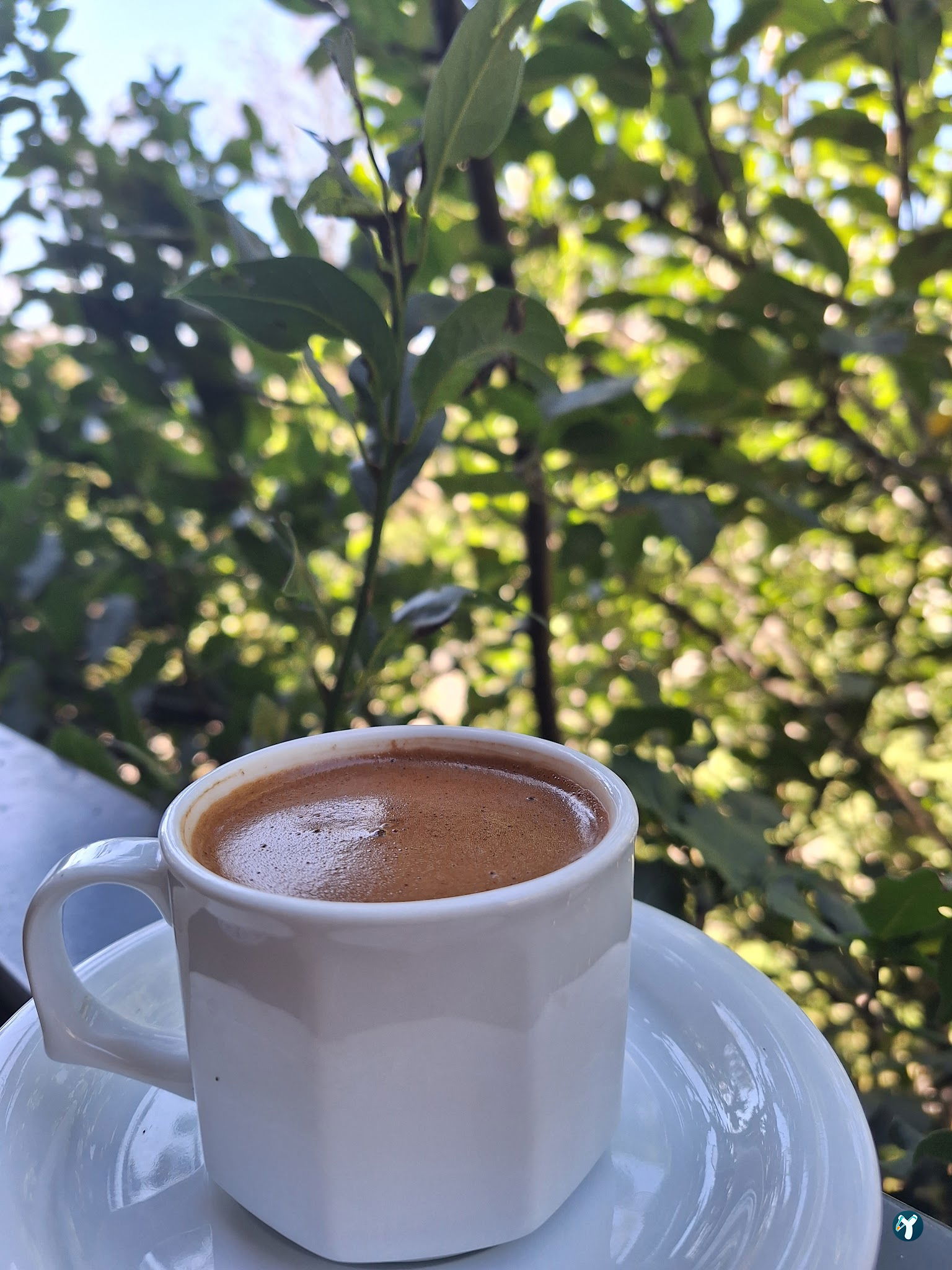 Beltur Kafe+