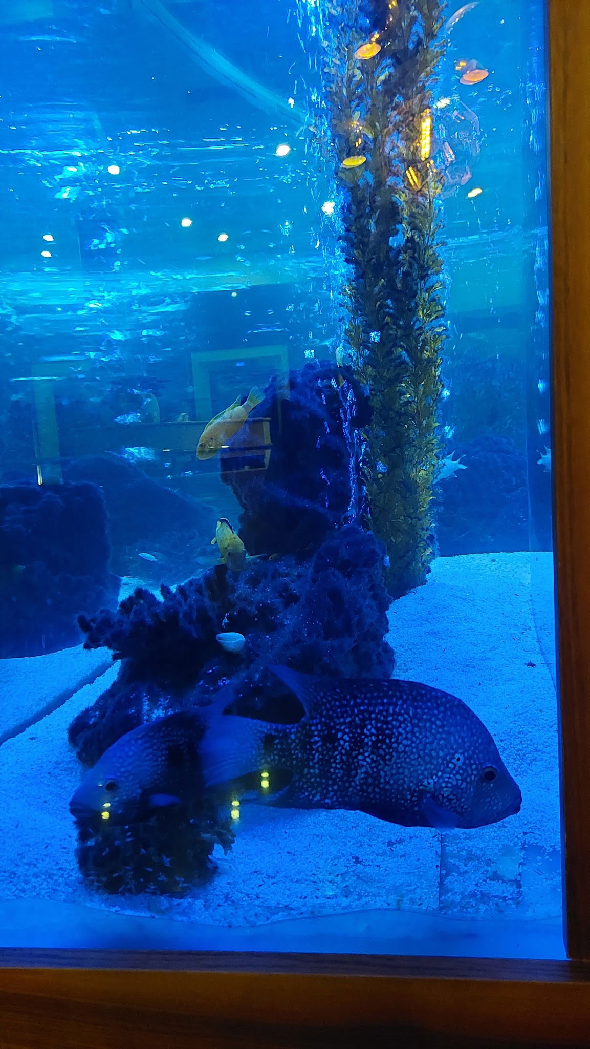 Анталия, Турция Вкусно Покушать