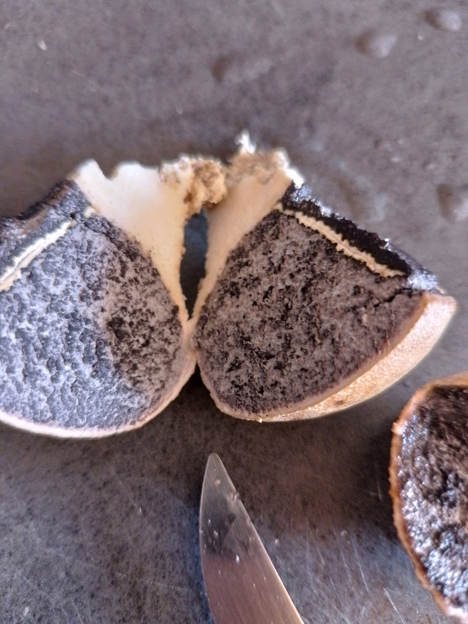 Анталия, Турция Вкусно Покушать