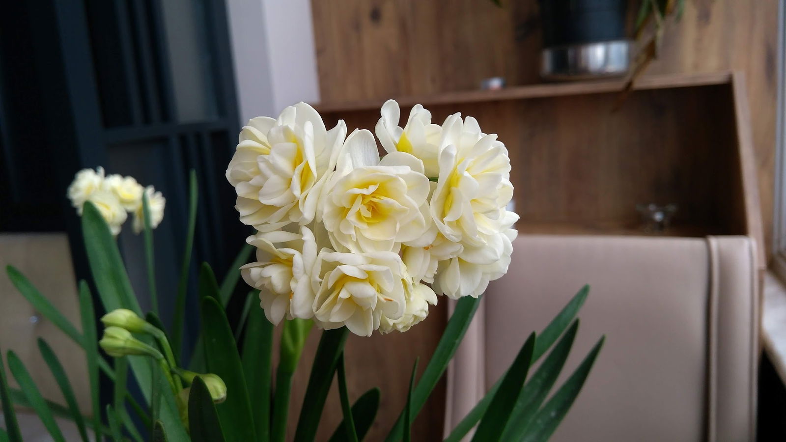 Isparta Simitçi Dünyası