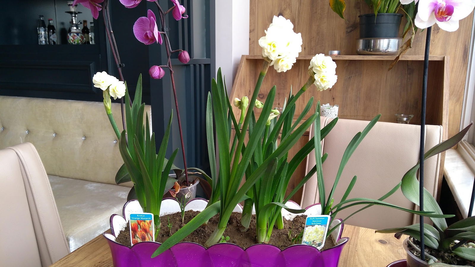 Isparta Simitçi Dünyası