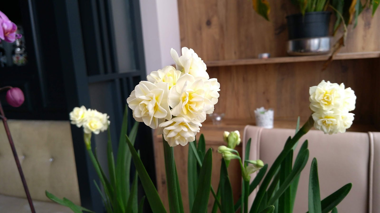 Isparta Simitçi Dünyası