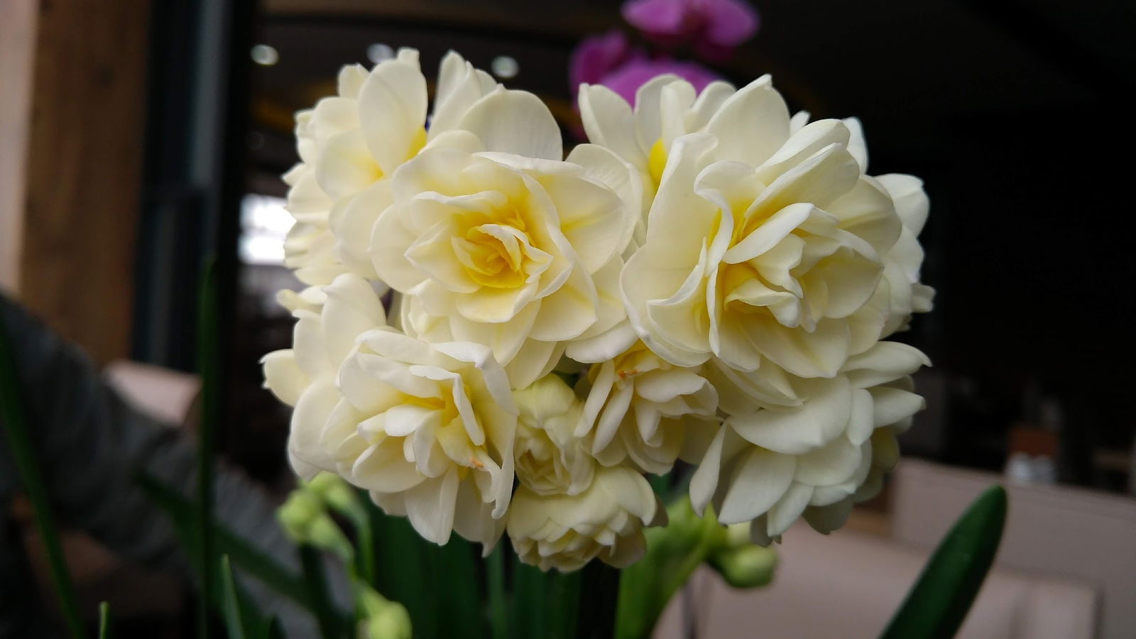 Isparta Simitçi Dünyası