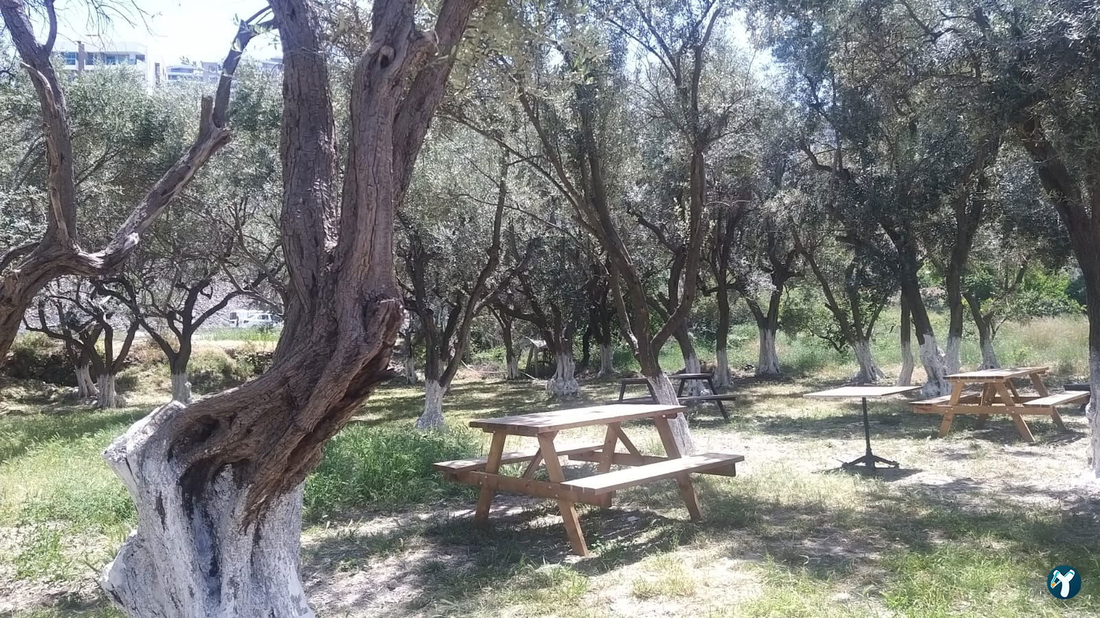 Narlıdere Zeytin Kafe