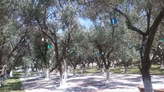 Narlıdere Zeytin Kafe resimleri