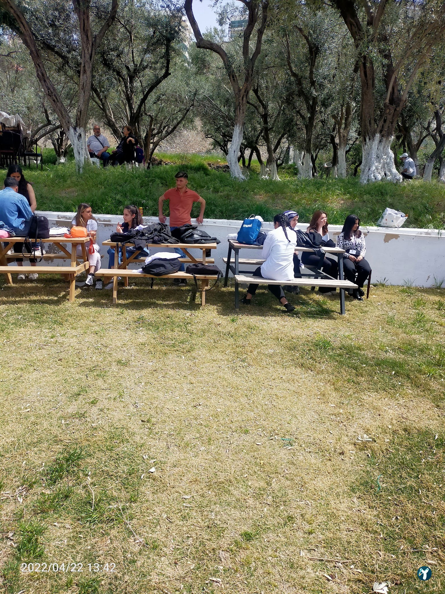 Narlıdere Zeytin Kafe