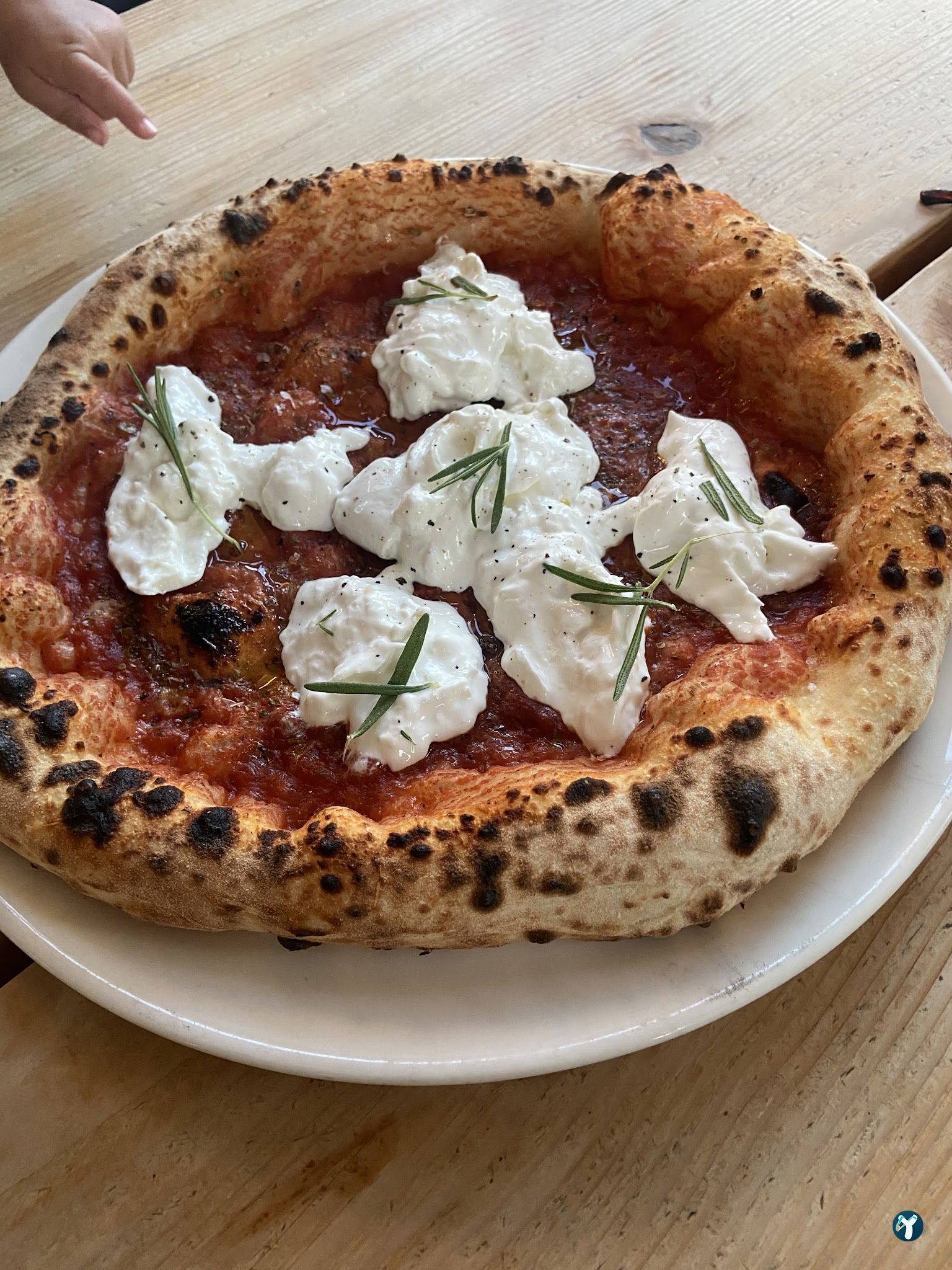 Mozz.