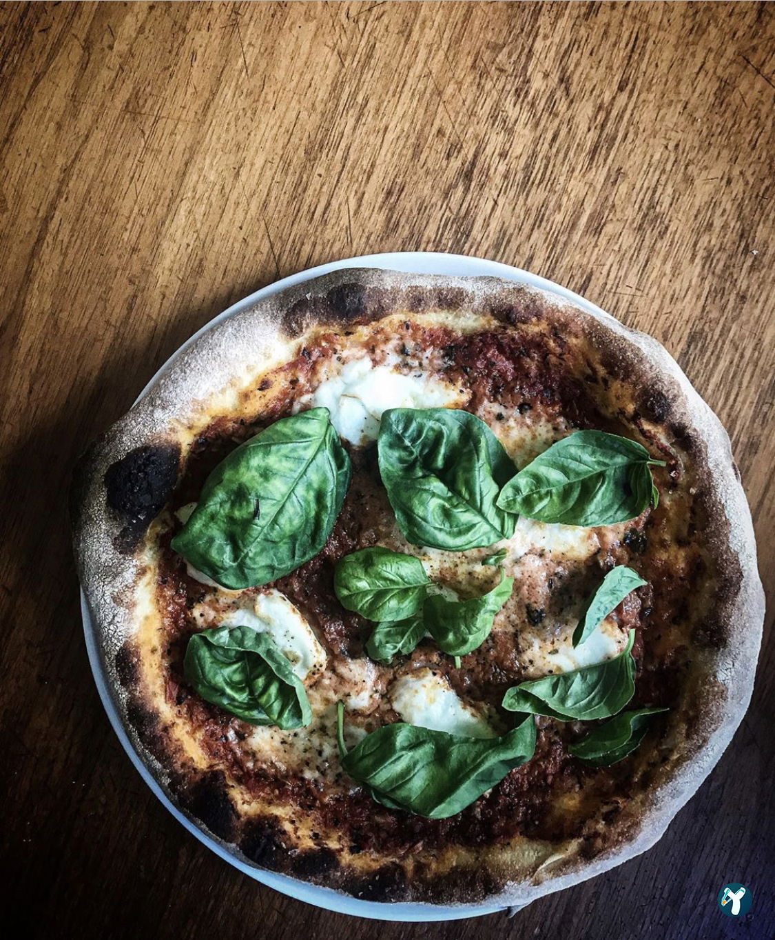 Mozz.