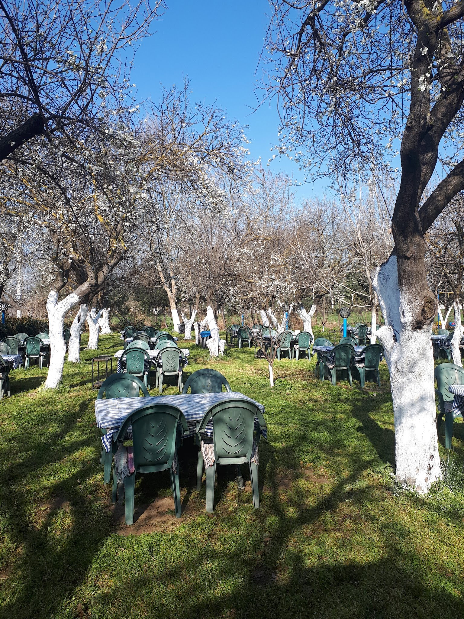 Ayaydin Erikli Bahce