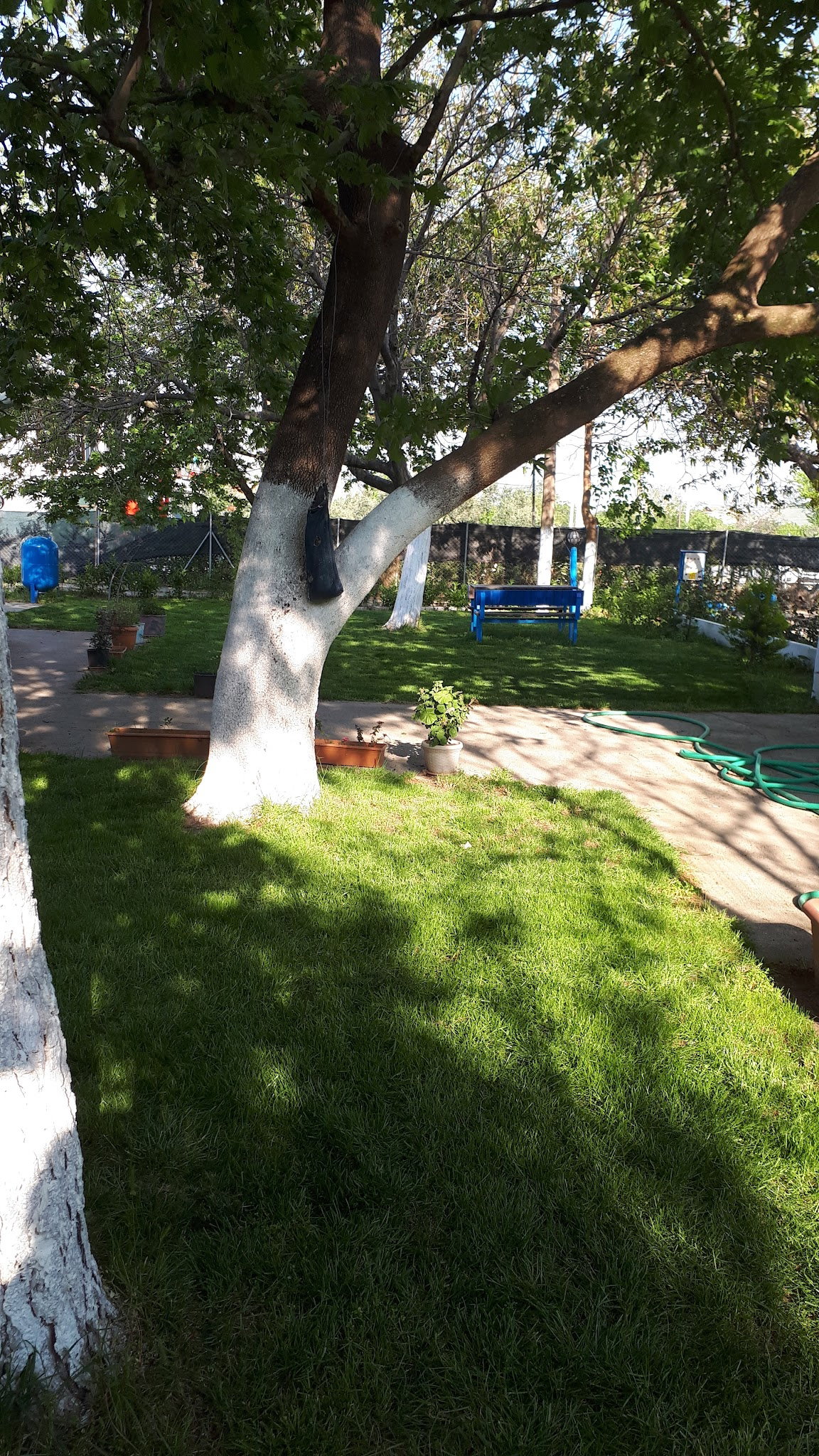 Ayaydin Erikli Bahce