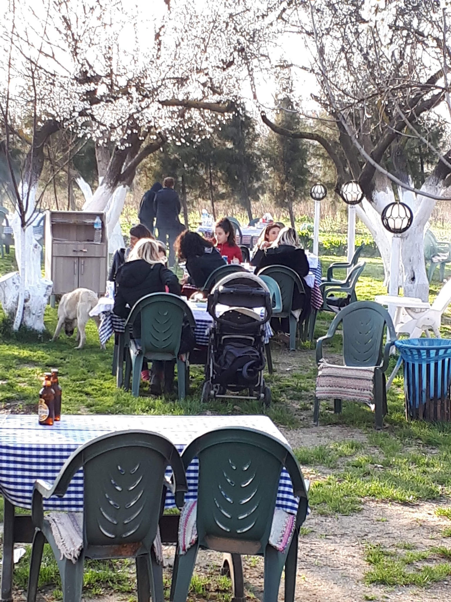 Ayaydin Erikli Bahce