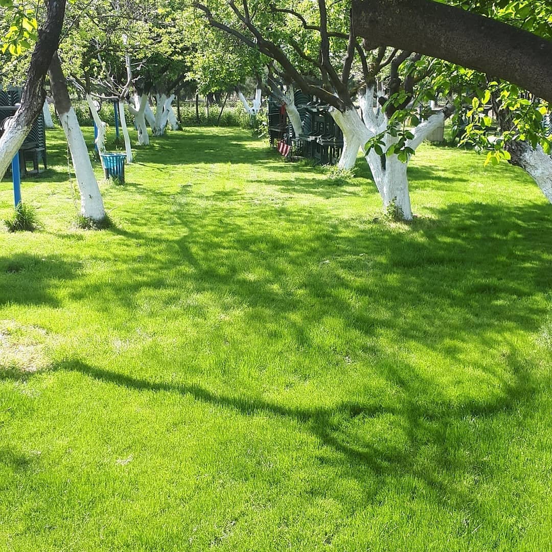 Ayaydin Erikli Bahce