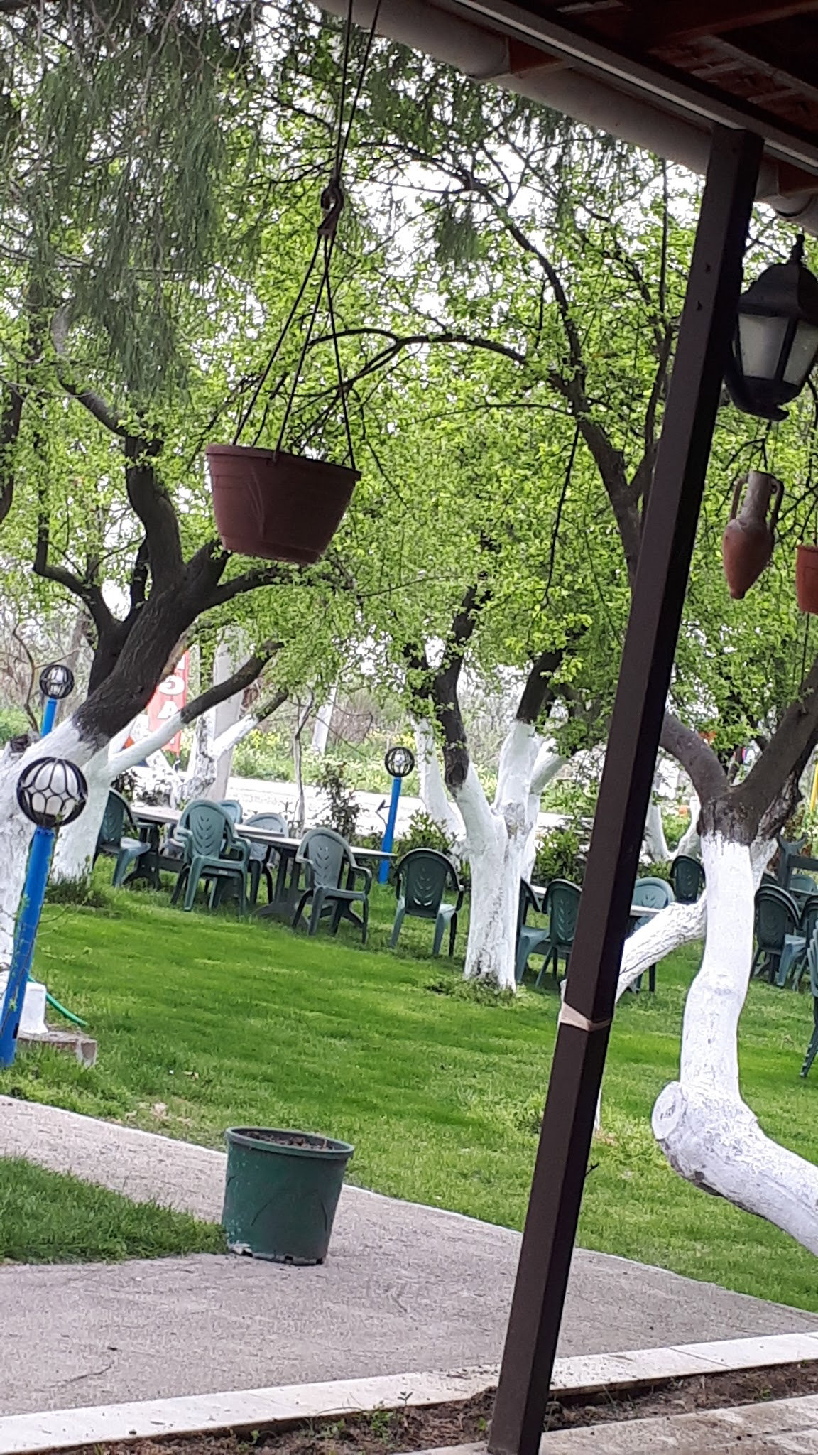 Ayaydin Erikli Bahce