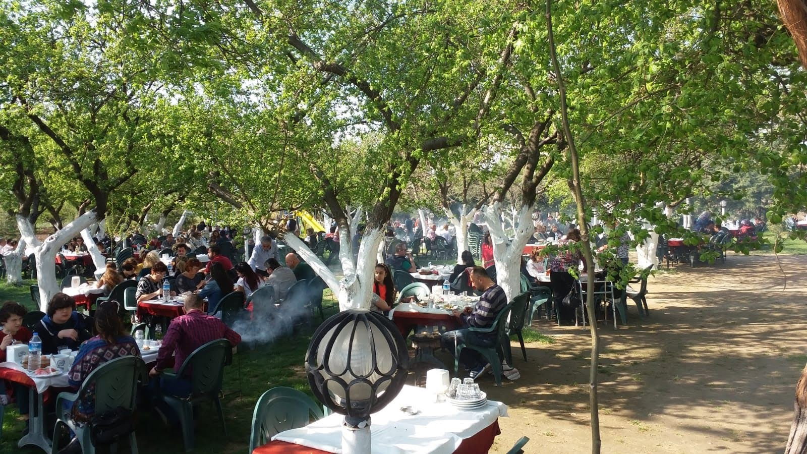 Ayaydin Erikli Bahce