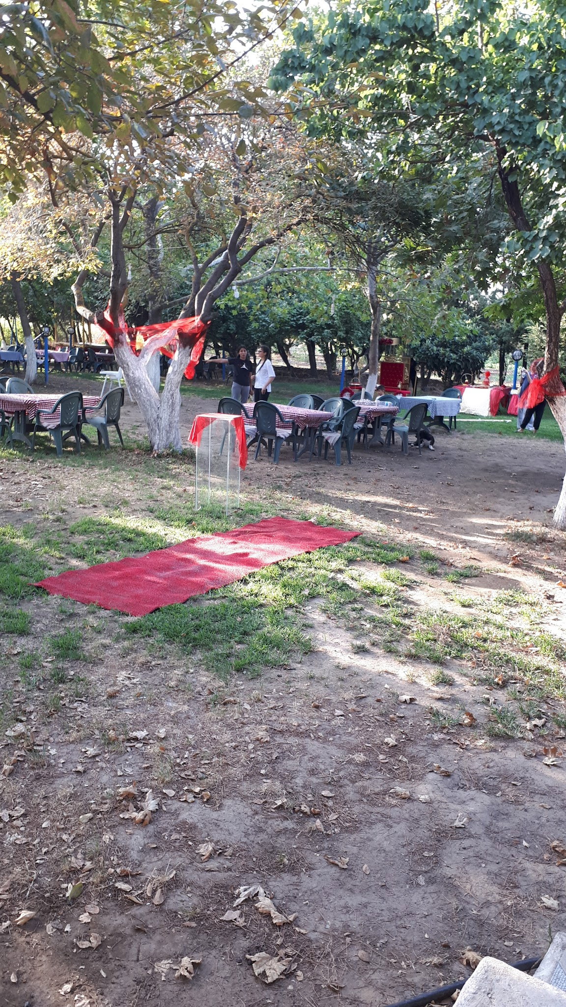 Ayaydin Erikli Bahce