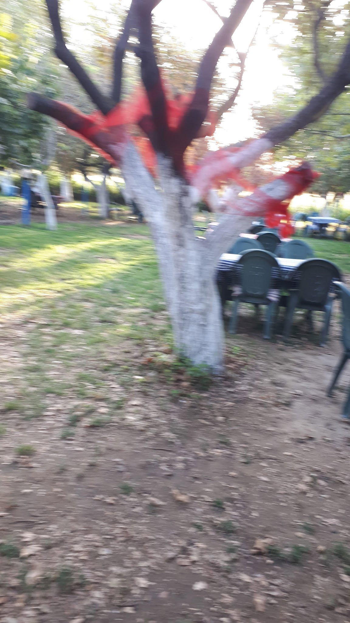 Ayaydin Erikli Bahce