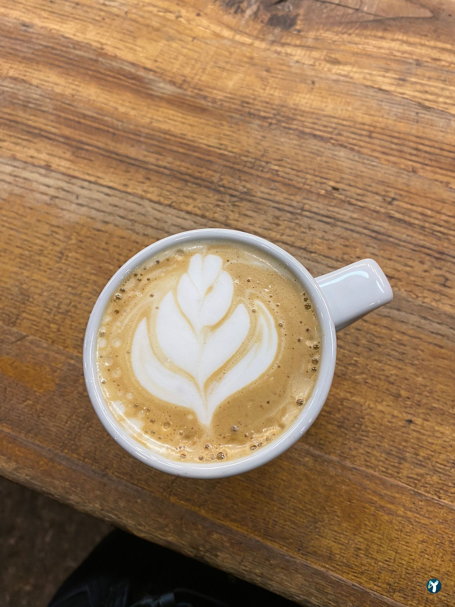 Coffee Lab Sakarya