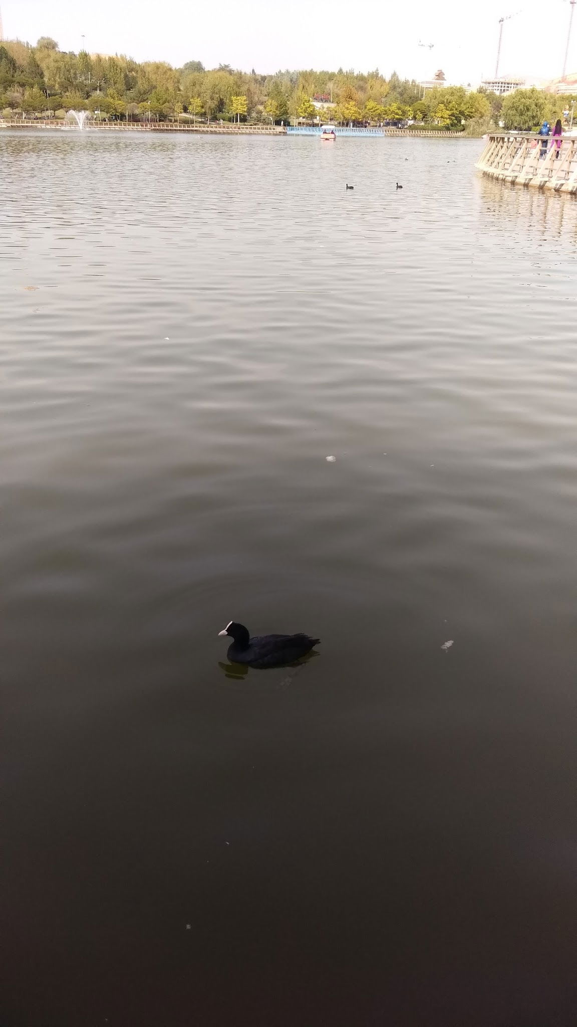 İlkays Cafe Restaurant