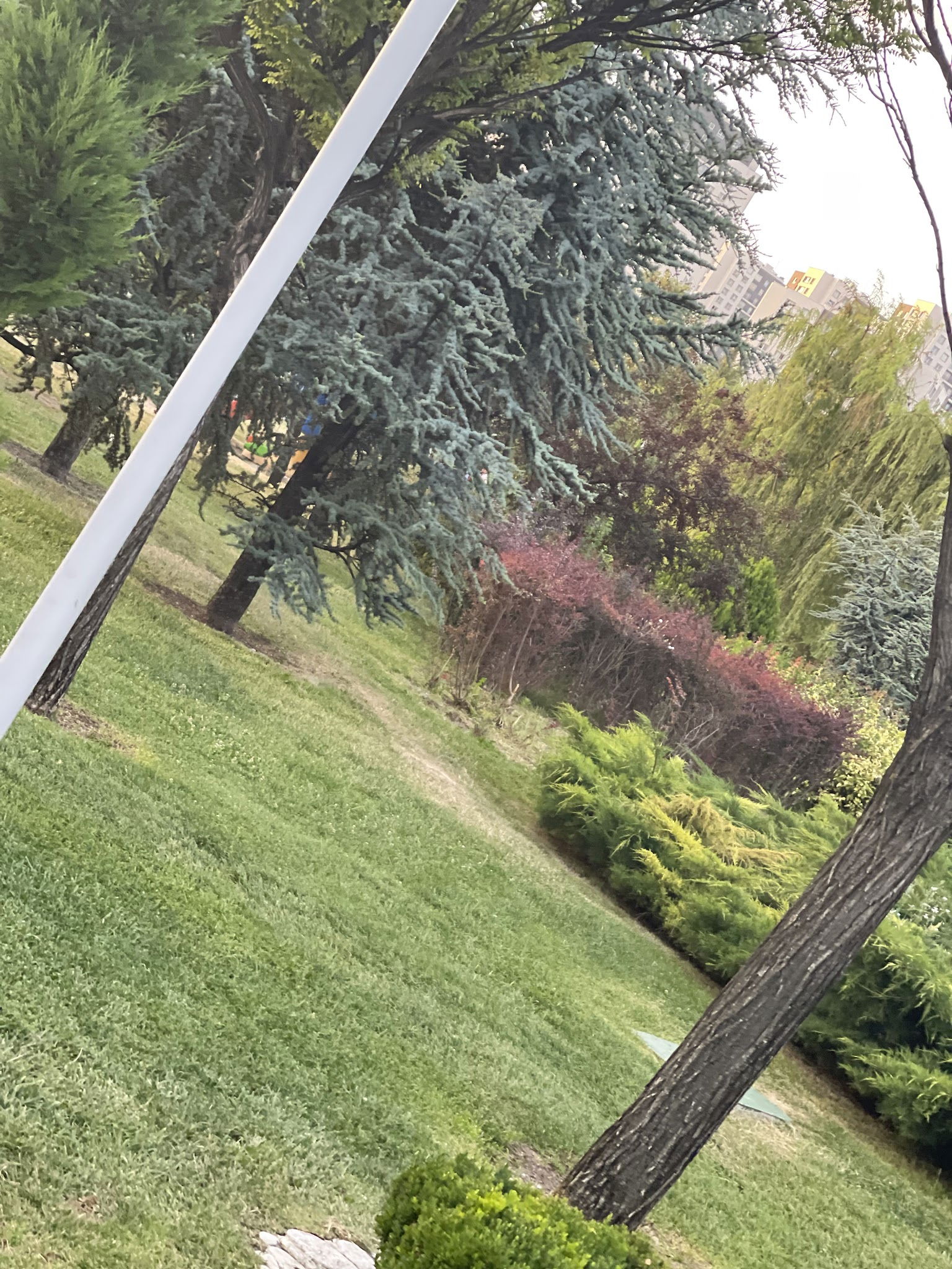 İlkays Cafe Restaurant