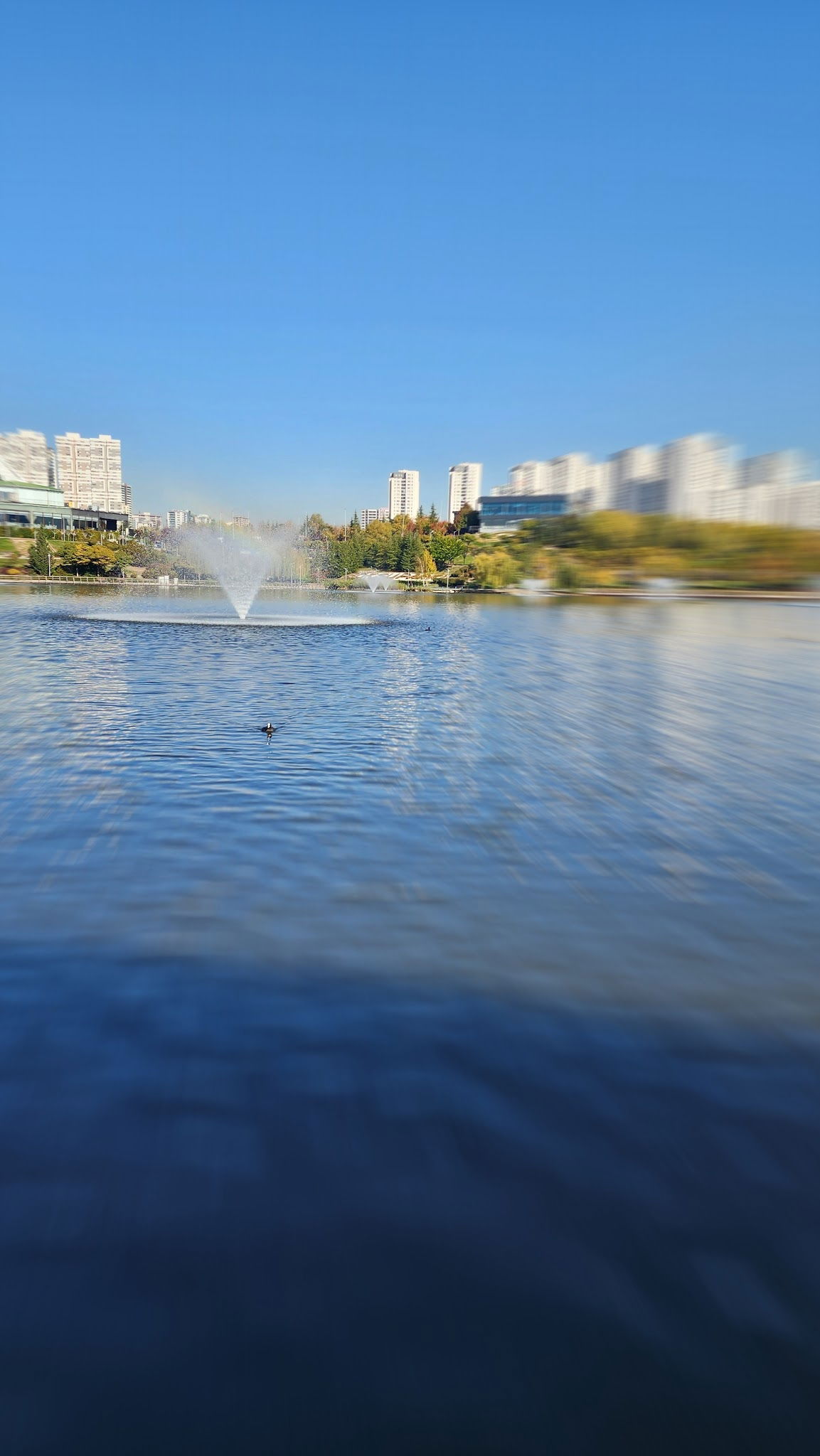 İlkays Cafe Restaurant